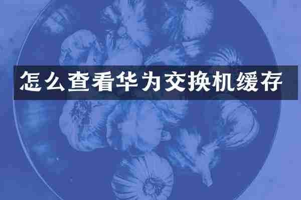 怎么查看华为交换机缓存