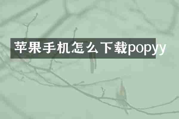 苹果手机怎么下载popyy