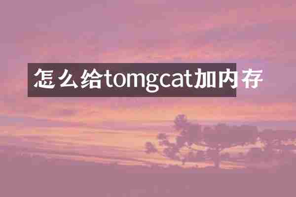 怎么给tomgcat加内存