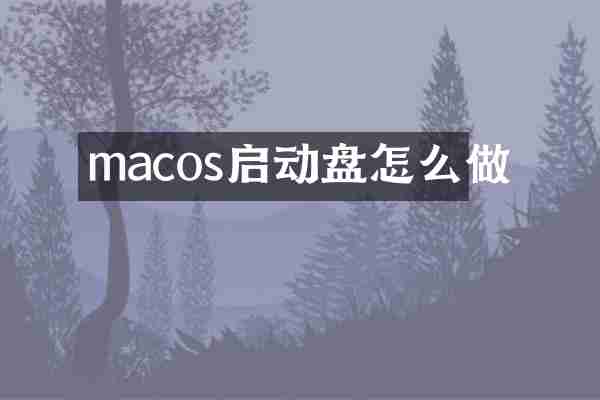 macos启动盘怎么做