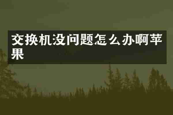 交换机没问题怎么办啊苹果