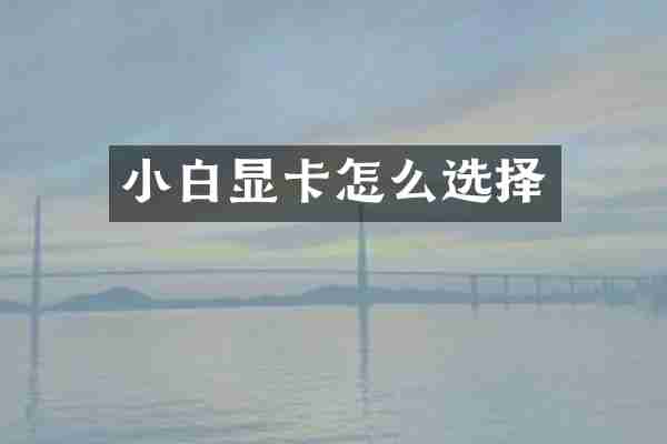 小白显卡怎么选择