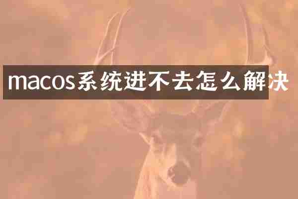 macos系统进不去怎么解决