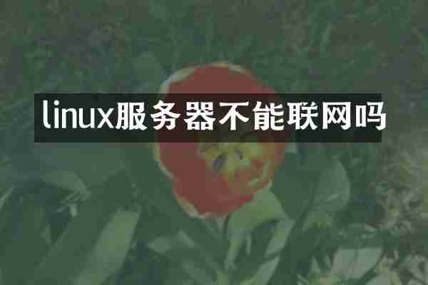 linux服务器不能联网吗