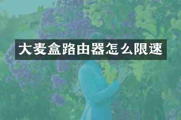 大麦盒路由器怎么限速
