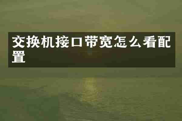 交换机接口带宽怎么看配置