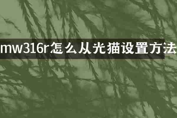 mw316r怎么从光猫设置方法