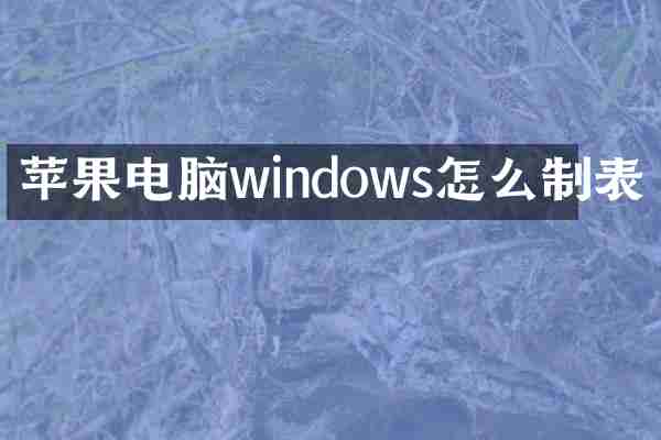 苹果电脑windows怎么制表