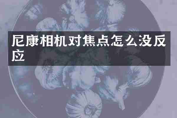 尼康相机对焦点怎么没反应