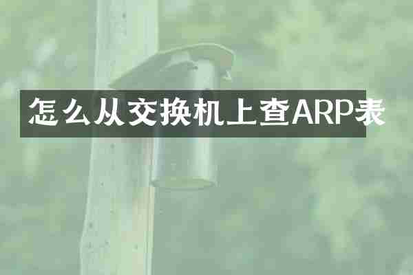 怎么从交换机上查ARP表