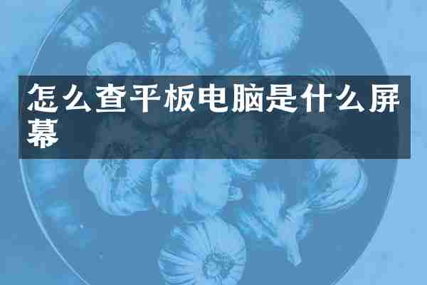 怎么查平板电脑是什么屏幕