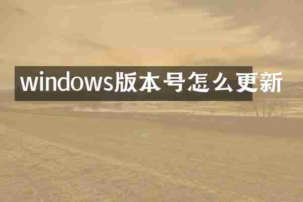 windows版本号怎么更新