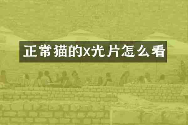 正常猫的x光片怎么看