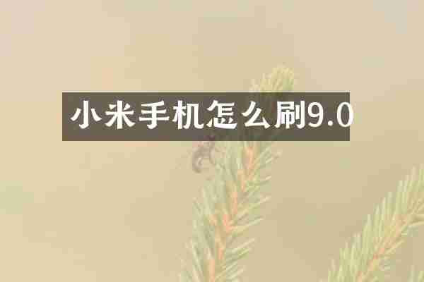 小米手机怎么刷9.0