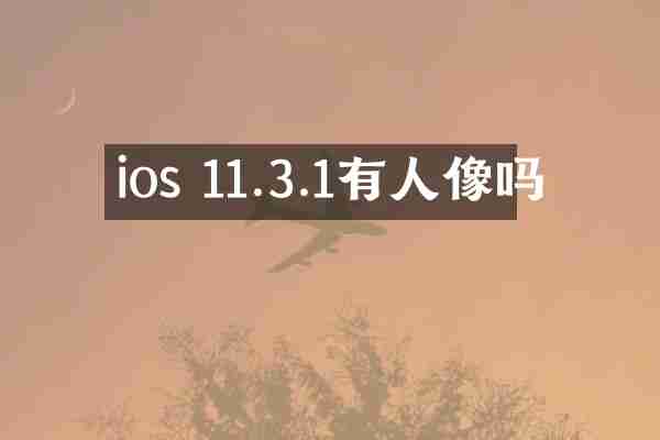 ios 11.3.1有人像吗