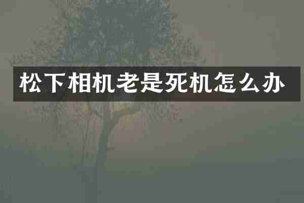 松下相机老是死机怎么办
