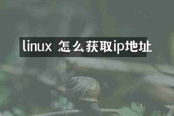 linux 怎么获取ip地址