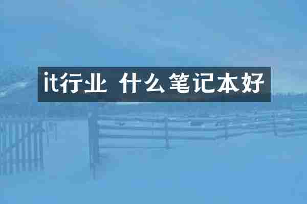 it行业 什么笔记本好