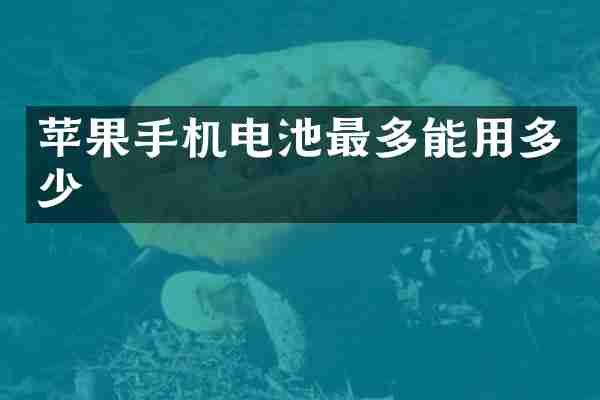 苹果手机电池最多能用多少