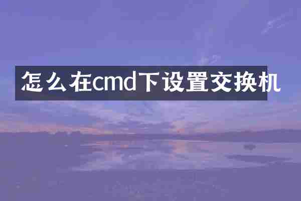 怎么在cmd下设置交换机