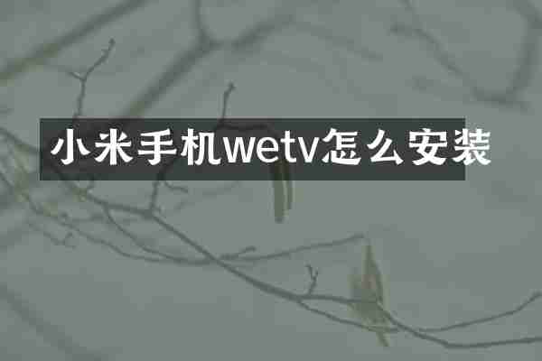 小米手机wetv怎么安装