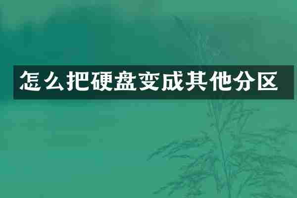 怎么把硬盘变成其他分区
