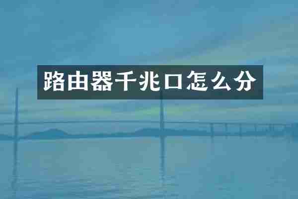 路由器千兆口怎么分