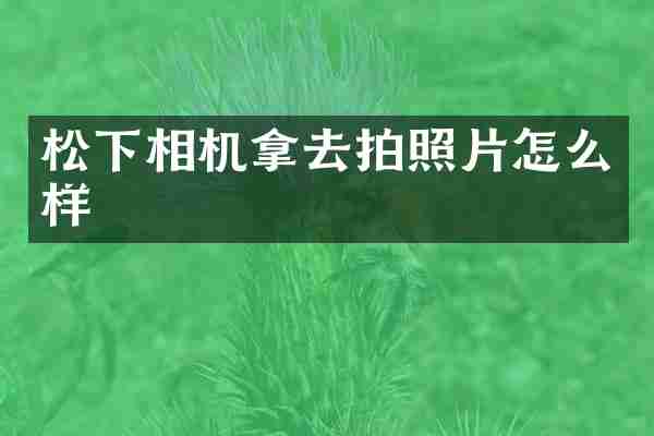 松下相机拿去拍照片怎么样