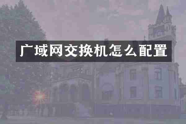 广域网交换机怎么配置