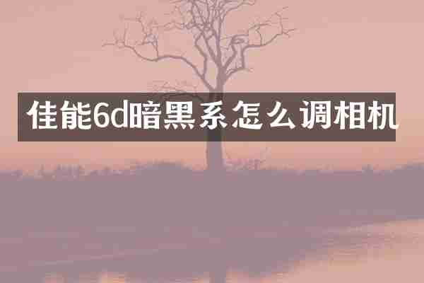 佳能6d暗黑系怎么调相机