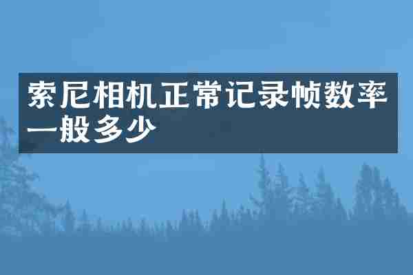 索尼相机正常记录帧数率一般多少