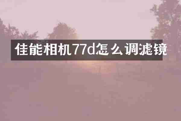 佳能相机77d怎么调滤镜