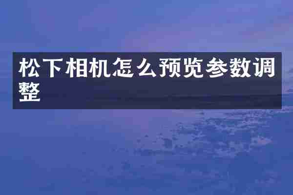 松下相机怎么预览参数调整