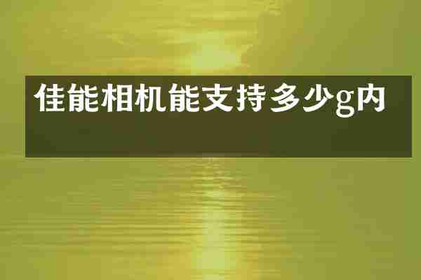 佳能相机能支持多少g内存