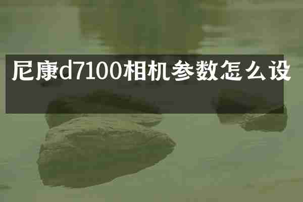 尼康d7100相机参数怎么设定