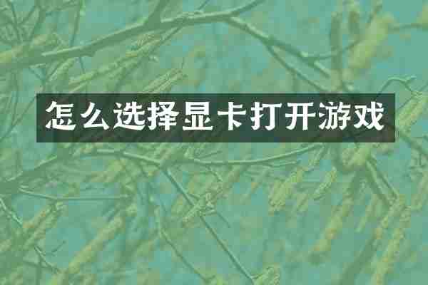 怎么选择显卡打开游戏