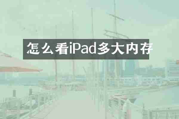 怎么看iPad多大内存