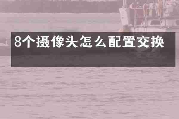 8个摄像头怎么配置交换机