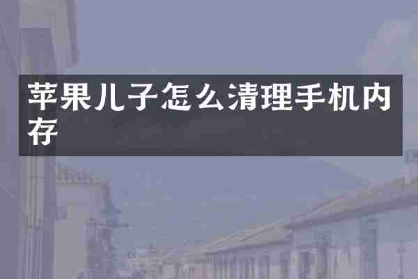 苹果儿子怎么清理手机内存