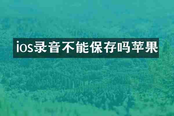 ios录音不能保存吗苹果