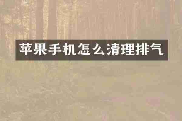 苹果手机怎么清理排气