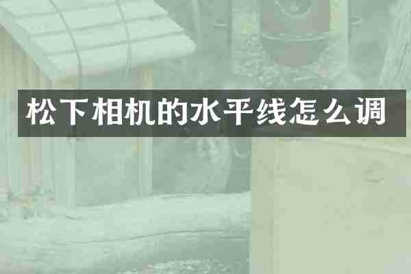 松下相机的水平线怎么调
