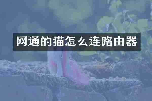 网通的猫怎么连路由器