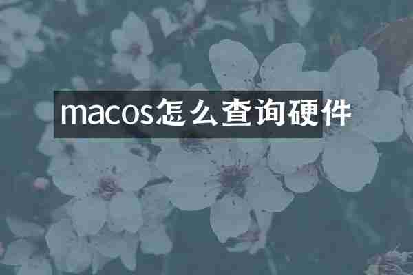macos怎么查询硬件