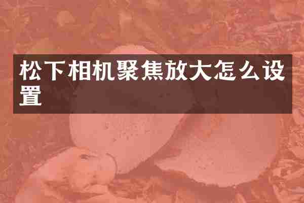 松下相机聚焦放大怎么设置