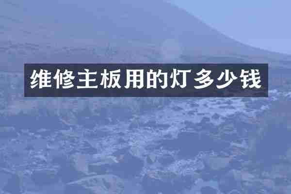 维修主板用的灯多少钱