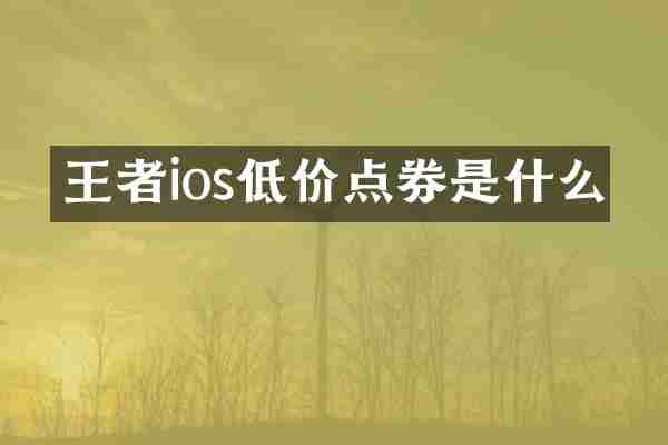 王者ios低价点券是什么