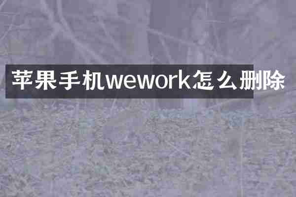 苹果手机wework怎么删除