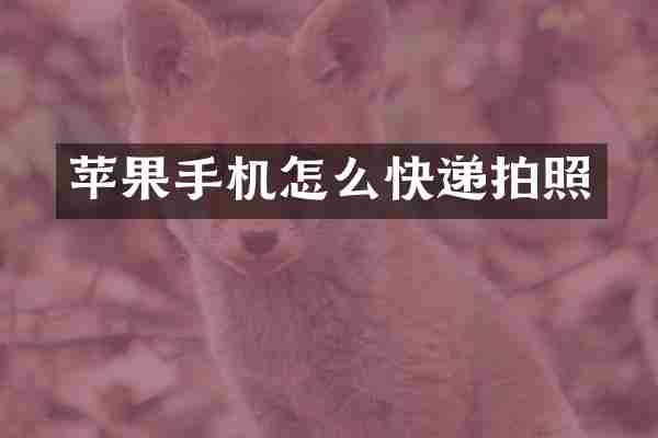 苹果手机怎么快递拍照