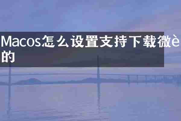 Macos怎么设置支持下载微软的